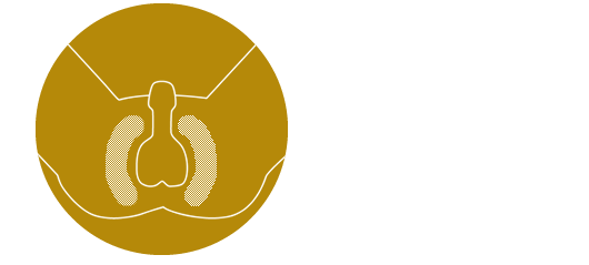Iライン