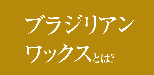 ブラジリアンワックスとは？